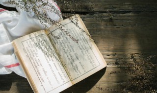 假作真时真亦假无为有处有还无这句话是什么意思 原文是什么