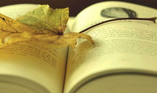 人生不如意事十之八九的下句 人生不如意事十之八九的下句是可与人言无二三