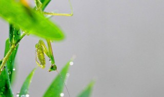 预防小暑的方法 一起来看看