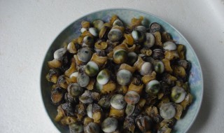 菜螺的养殖方法 菜螺的养殖方法介绍