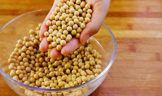 发酵好的黄豆怎样做辣酱 发酵好的黄豆做辣酱方法