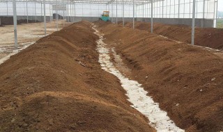 育苗土块的方法 有什么具体的步骤