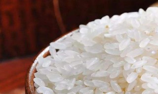 浪费粮食的名言警句 浪费粮食的名言警句列述