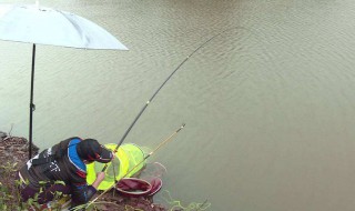 秋分钓鱼技巧 一起来了解一下