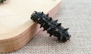 海参怎样做汤吃 土鸡海参汤的做法