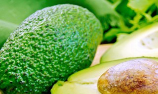 牛油果怎样才算熟 没有绿色算熟