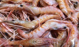虾怎么挑选活虾 挑选大虾的方法
