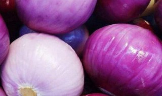 紫色洋葱怎么挑选 挑选洋葱的方法