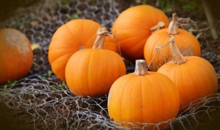 南瓜怎么挑选甜的 如何挑选甜南瓜