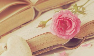 态度决定高度经典语句 态度决定高度经典语句有什么