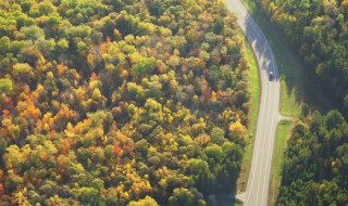 什么叫林地 林地的介绍