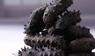 干海参怎样存放 存放海参的方法