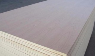 什么叫九厘板 关于九厘板的简介