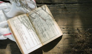 六年级作文变形记500字 怎么写变形记作文