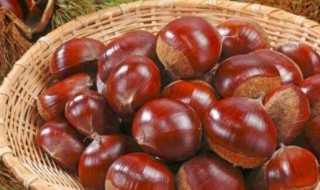 栗子怎么保存 栗子的价值