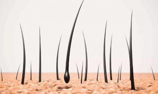 怎样让头发生长 让头发生长的方法