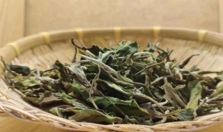 白茶烘干的方法 给你支几招