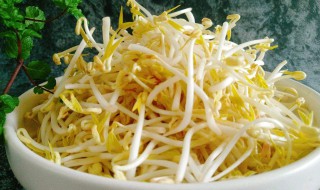 豆芽菜怎样做才是脆脆的 具体有什么步骤