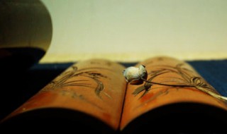 本来无一物何处惹尘埃什么意思 本来无一物何处惹尘埃有何寓意呢?