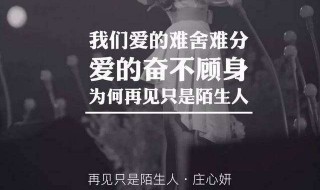 再见只是陌生人歌词 再见只是陌生人这首歌的歌词是什么呢