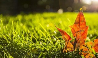 9月结束10月开始的句子 9月结束10月开始的句子列述