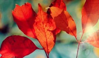 10月唯美句 10月唯美句有哪些