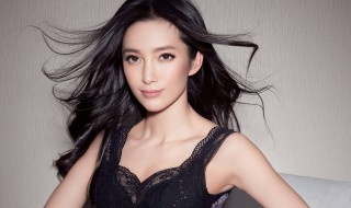 李冰冰个人资料简历 李冰冰个人资料简历介绍
