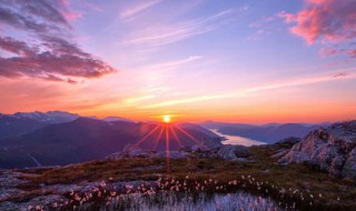 我眼中的大自然作文 我眼中的大自然作文范文