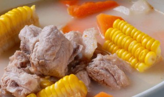 玉米炖排骨的简单做法 做玉米炖排骨的方法