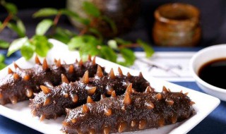 海参最简单的做法 做海参的方法