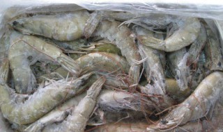 活虾不敢碰怎么处理 有什么处理的办法