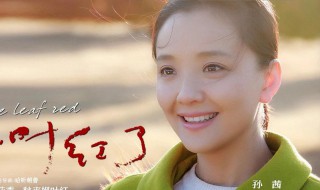 枫叶红了电视剧大结局 枫叶红了大结局介绍