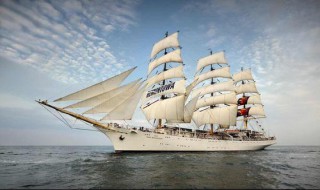 诺亚方舟是什么 诺亚方舟的介绍