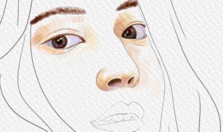 鼻翼是什么地方 鼻翼的位置