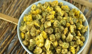 胎菊泡水喝有什么功效 胎菊泡水喝的功效有哪些
