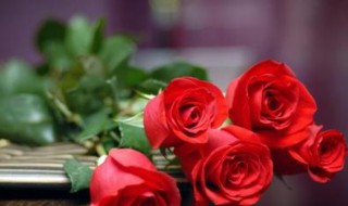 21朵玫瑰花代表什么意思 21朵玫瑰花代表花语