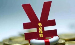 失业金是领保险金还是补助金 一起来看看