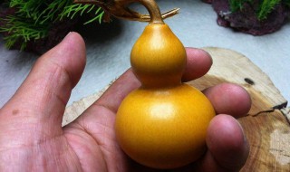 葫芦怎么处理才能保存 葫芦处理保存方法介绍