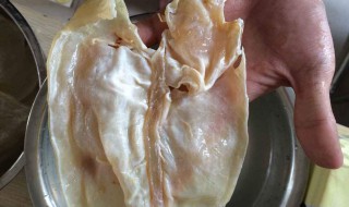 鱼胶清洗方法 怎么清洗鱼胶才干净