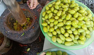 白榄保鲜方法 如何保鲜白榄保鲜呢