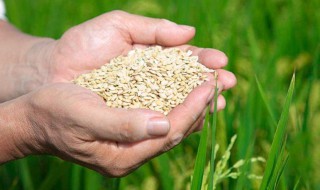 厉行节俭拒绝浪费的活动介绍 下面就告诉大家节俭活动