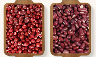 红豆和赤小豆有什么区别 红豆和赤小豆区别介绍