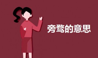 旁骛的意思 旁骛的意思讲解