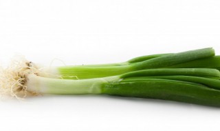 香葱养护方法 香葱的养殖方法