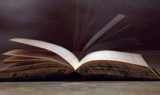 韵味是什么意思 韵味的解释