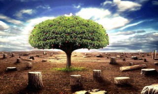 保护环境的重要性 保护环境的重要性是什么