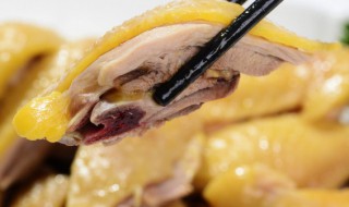 鸡肉汆水方法 鸡肉汆水方法是什么