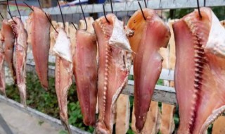 制作干腊鱼的方法 腊鱼怎么保存