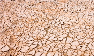 如何让板结的泥土松散 这些方法都是可以的