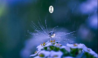 寒露是啥意思 寒露意思简述